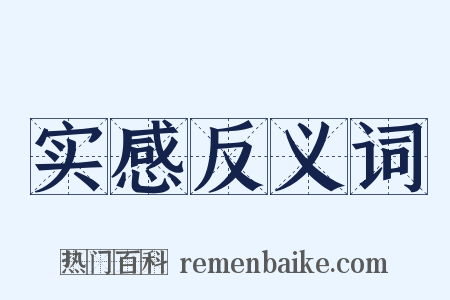 实感反义词是什么意思的图片